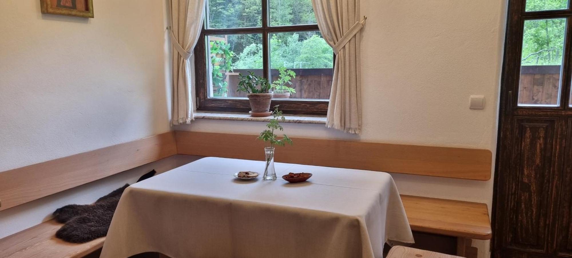 Apartments Pod Macesnovo Streho 솔차바 외부 사진