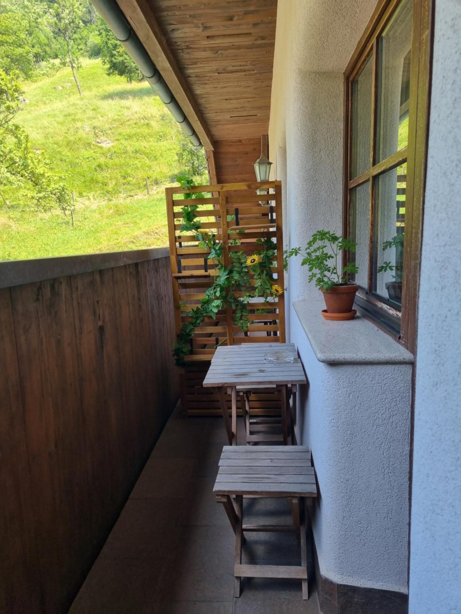 Apartments Pod Macesnovo Streho 솔차바 외부 사진
